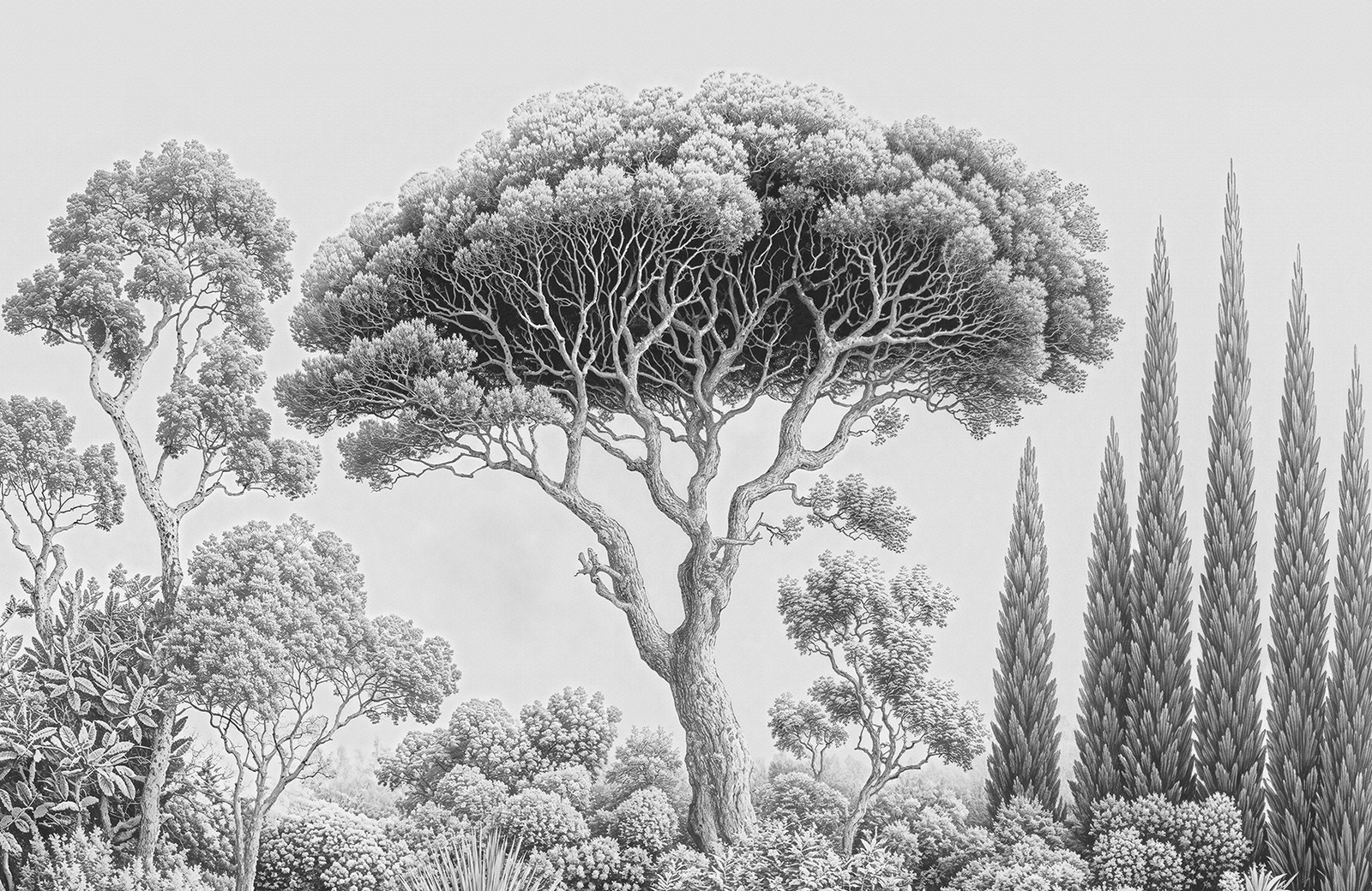 Fo 266 1692x1100pX ArtFresco